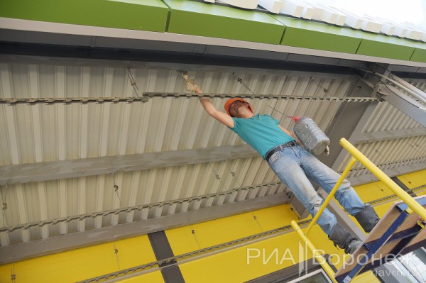 &laquo;По последнему слову техники&raquo;. В Воронеже открылась быстровозводимая больница с дельфином-топиаром