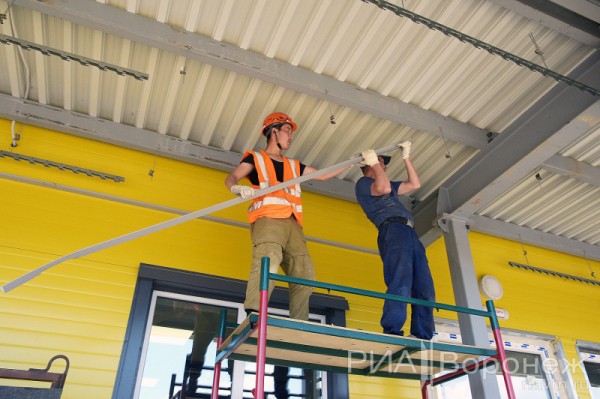 &laquo;По последнему слову техники&raquo;. В Воронеже открылась быстровозводимая больница с дельфином-топиаром