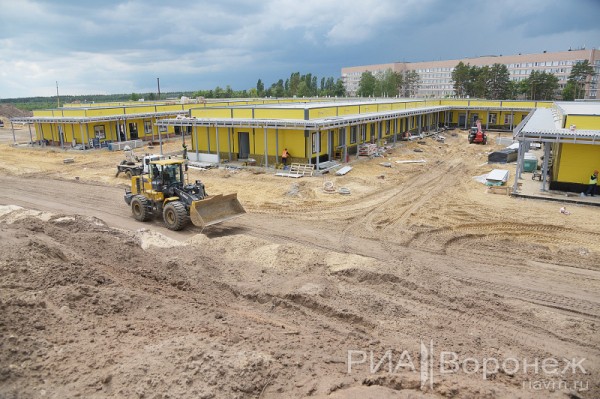 &laquo;По последнему слову техники&raquo;. В Воронеже открылась быстровозводимая больница с дельфином-топиаром