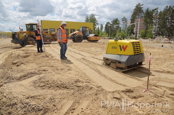 &laquo;По последнему слову техники&raquo;. В Воронеже открылась быстровозводимая больница с дельфином-топиаром