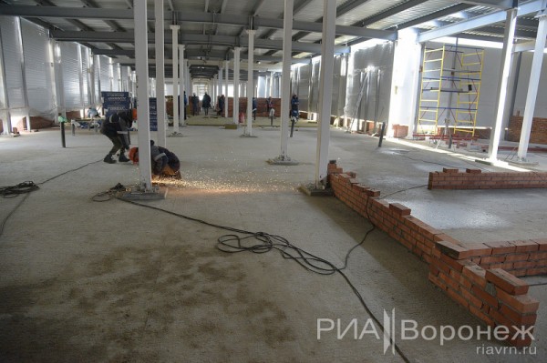 &laquo;По последнему слову техники&raquo;. В Воронеже открылась быстровозводимая больница с дельфином-топиаром