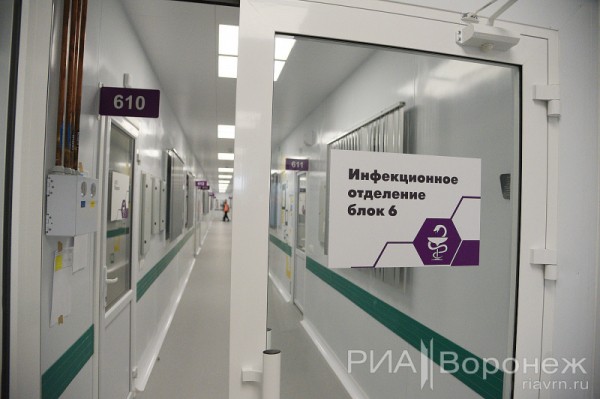 &laquo;По последнему слову техники&raquo;. В Воронеже открылась быстровозводимая больница с дельфином-топиаром