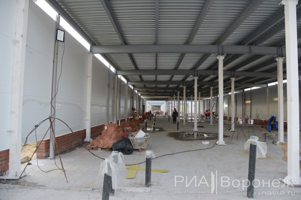 &laquo;По последнему слову техники&raquo;. В Воронеже открылась быстровозводимая больница с дельфином-топиаром