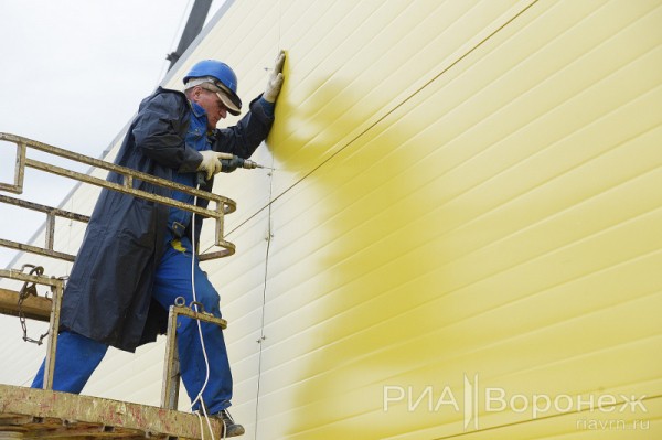&laquo;По последнему слову техники&raquo;. В Воронеже открылась быстровозводимая больница с дельфином-топиаром