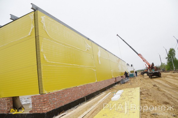 &laquo;По последнему слову техники&raquo;. В Воронеже открылась быстровозводимая больница с дельфином-топиаром