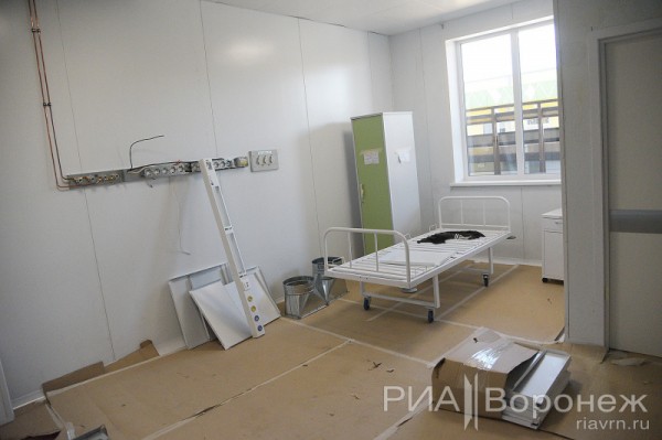 &laquo;По последнему слову техники&raquo;. В Воронеже открылась быстровозводимая больница с дельфином-топиаром