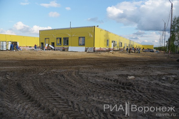 &laquo;По последнему слову техники&raquo;. В Воронеже открылась быстровозводимая больница с дельфином-топиаром