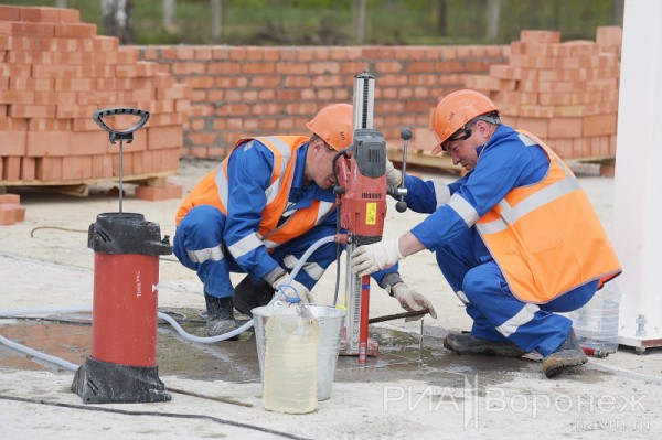 &laquo;По последнему слову техники&raquo;. В Воронеже открылась быстровозводимая больница с дельфином-топиаром