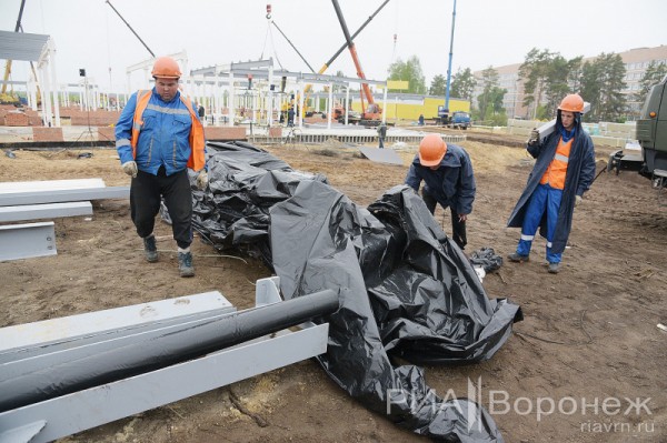 &laquo;По последнему слову техники&raquo;. В Воронеже открылась быстровозводимая больница с дельфином-топиаром