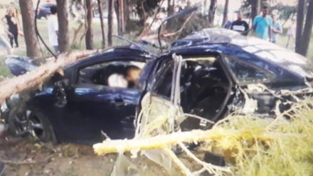 Водитель иномарки разбился в ДТП в Воронеже