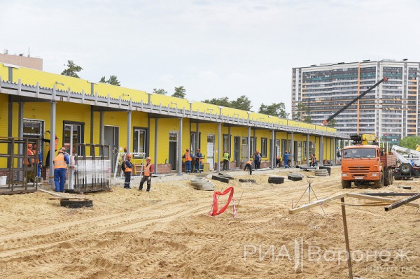 &laquo;По последнему слову техники&raquo;. В Воронеже открылась быстровозводимая больница с дельфином-топиаром