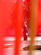 В Воронеже в День памяти и скорби возложили цветы и венки к могиле Неизвестного солдата