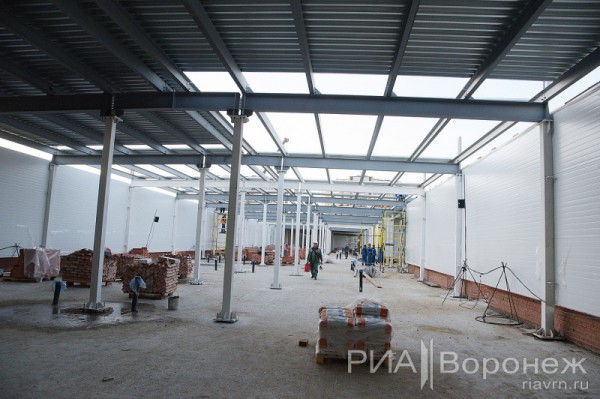 &laquo;По последнему слову техники&raquo;. В Воронеже открылась быстровозводимая больница с дельфином-топиаром