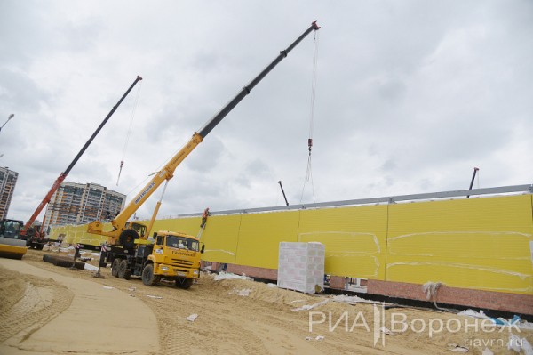 &laquo;По последнему слову техники&raquo;. В Воронеже открылась быстровозводимая больница с дельфином-топиаром