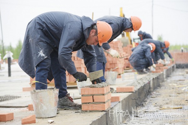 &laquo;По последнему слову техники&raquo;. В Воронеже открылась быстровозводимая больница с дельфином-топиаром