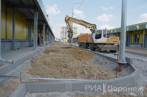 &laquo;По последнему слову техники&raquo;. В Воронеже открылась быстровозводимая больница с дельфином-топиаром