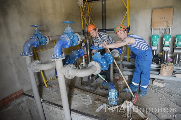 &laquo;По последнему слову техники&raquo;. В Воронеже открылась быстровозводимая больница с дельфином-топиаром