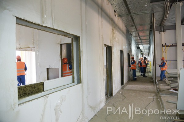 &laquo;По последнему слову техники&raquo;. В Воронеже открылась быстровозводимая больница с дельфином-топиаром