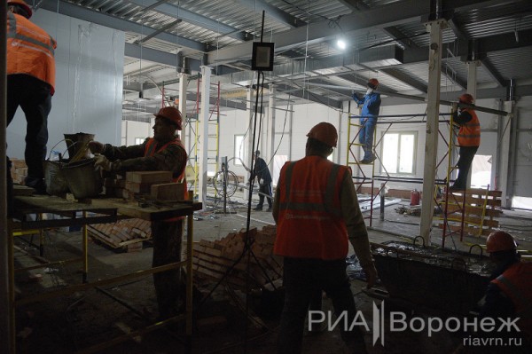 &laquo;По последнему слову техники&raquo;. В Воронеже открылась быстровозводимая больница с дельфином-топиаром