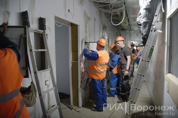 &laquo;По последнему слову техники&raquo;. В Воронеже открылась быстровозводимая больница с дельфином-топиаром