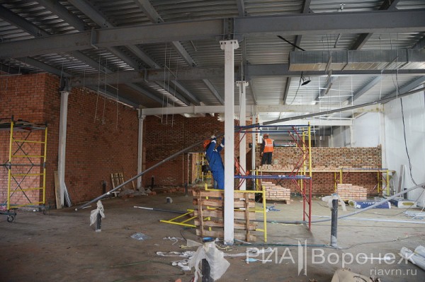 &laquo;По последнему слову техники&raquo;. В Воронеже открылась быстровозводимая больница с дельфином-топиаром