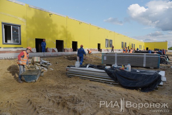 &laquo;По последнему слову техники&raquo;. В Воронеже открылась быстровозводимая больница с дельфином-топиаром