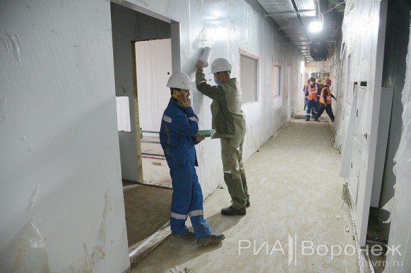 &laquo;По последнему слову техники&raquo;. В Воронеже открылась быстровозводимая больница с дельфином-топиаром