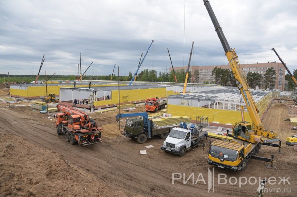 &laquo;По последнему слову техники&raquo;. В Воронеже открылась быстровозводимая больница с дельфином-топиаром