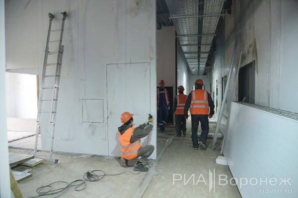 &laquo;По последнему слову техники&raquo;. В Воронеже открылась быстровозводимая больница с дельфином-топиаром