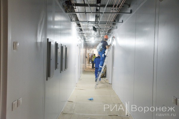 &laquo;По последнему слову техники&raquo;. В Воронеже открылась быстровозводимая больница с дельфином-топиаром