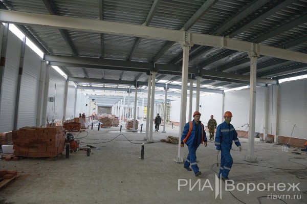 &laquo;По последнему слову техники&raquo;. В Воронеже открылась быстровозводимая больница с дельфином-топиаром