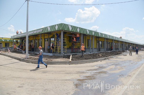 &laquo;По последнему слову техники&raquo;. В Воронеже открылась быстровозводимая больница с дельфином-топиаром