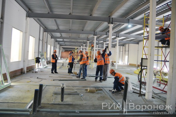 &laquo;По последнему слову техники&raquo;. В Воронеже открылась быстровозводимая больница с дельфином-топиаром