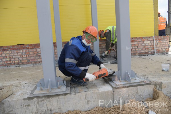 &laquo;По последнему слову техники&raquo;. В Воронеже открылась быстровозводимая больница с дельфином-топиаром