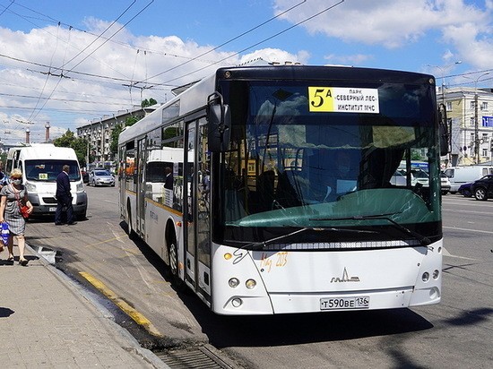 Мэрия Воронежа превратила &laquo;Звон Победы&raquo; в &laquo;Весть Победы&raquo;