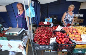 Почему в этом году в Воронеже такая дорогая клубника?
