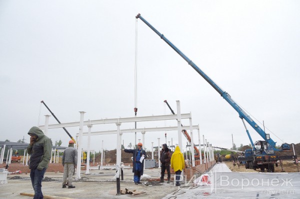 &laquo;По последнему слову техники&raquo;. В Воронеже открылась быстровозводимая больница с дельфином-топиаром