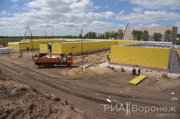 &laquo;По последнему слову техники&raquo;. В Воронеже открылась быстровозводимая больница с дельфином-топиаром