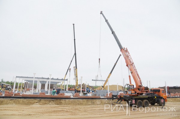 &laquo;По последнему слову техники&raquo;. В Воронеже открылась быстровозводимая больница с дельфином-топиаром