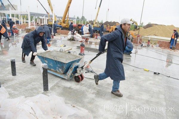 &laquo;По последнему слову техники&raquo;. В Воронеже открылась быстровозводимая больница с дельфином-топиаром