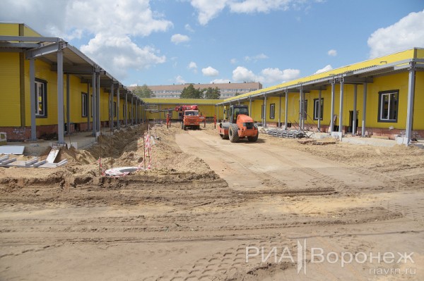 &laquo;По последнему слову техники&raquo;. В Воронеже открылась быстровозводимая больница с дельфином-топиаром