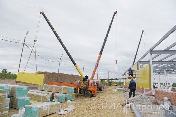 &laquo;По последнему слову техники&raquo;. В Воронеже открылась быстровозводимая больница с дельфином-топиаром