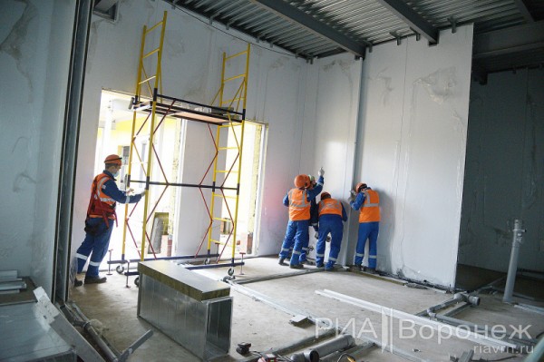 &laquo;По последнему слову техники&raquo;. В Воронеже открылась быстровозводимая больница с дельфином-топиаром