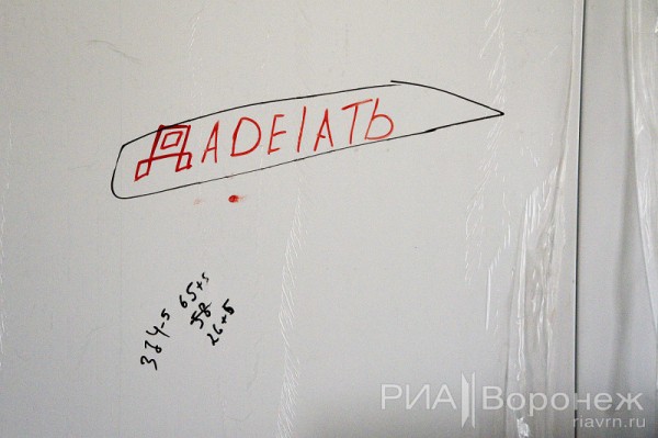 &laquo;По последнему слову техники&raquo;. В Воронеже открылась быстровозводимая больница с дельфином-топиаром