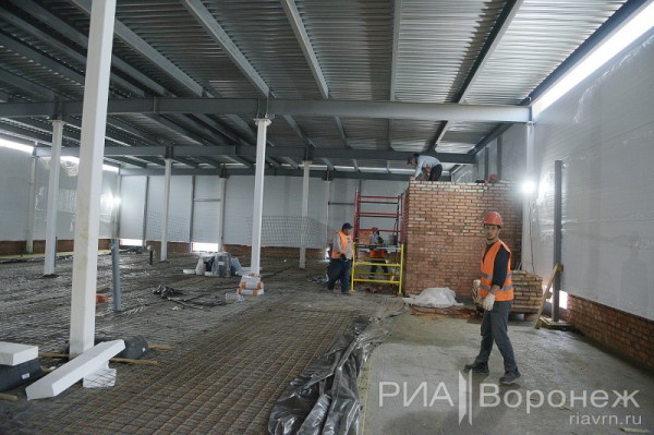 &laquo;По последнему слову техники&raquo;. В Воронеже открылась быстровозводимая больница с дельфином-топиаром