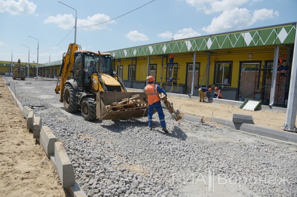 &laquo;По последнему слову техники&raquo;. В Воронеже открылась быстровозводимая больница с дельфином-топиаром