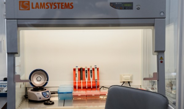 19 июня в Воронежской области COVID-19 обнаружили еще у 203 человек