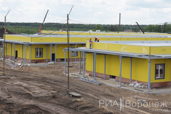 &laquo;По последнему слову техники&raquo;. В Воронеже открылась быстровозводимая больница с дельфином-топиаром