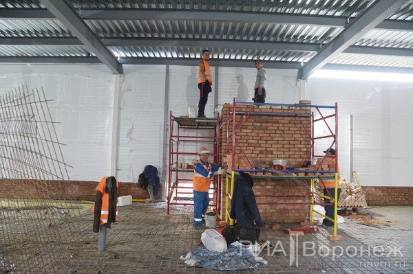 &laquo;По последнему слову техники&raquo;. В Воронеже открылась быстровозводимая больница с дельфином-топиаром