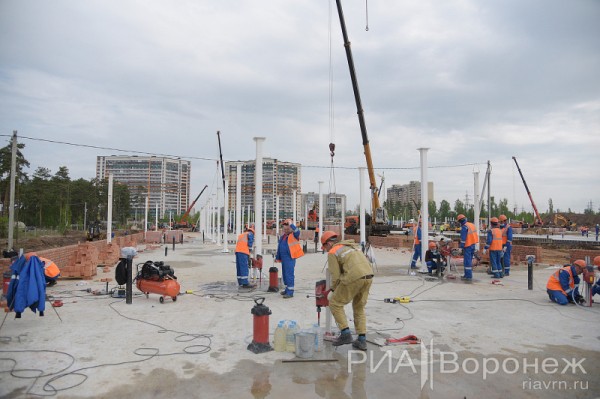 &laquo;По последнему слову техники&raquo;. В Воронеже открылась быстровозводимая больница с дельфином-топиаром